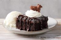 Holy-Cow-Chocolate-Cake